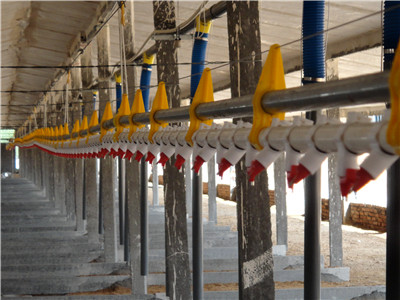 ��Ѽ�豸-Ѽ ˮ��