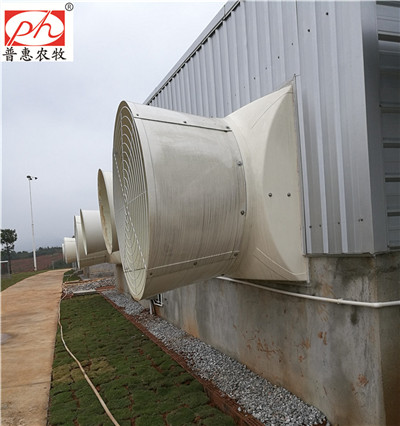 �����ַ��