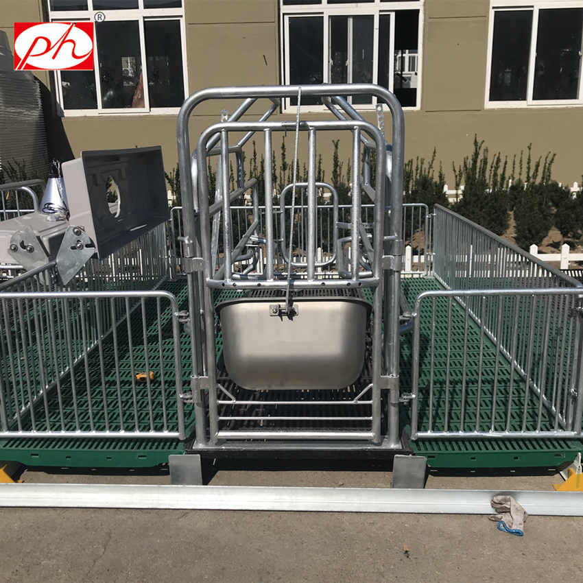 ��դ������ ĸ������