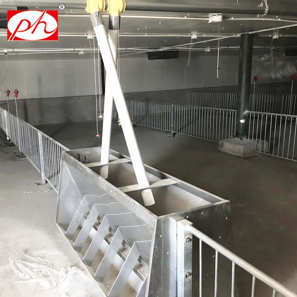 ���ʴ��� ���������� ��˫��ʳ�� ������