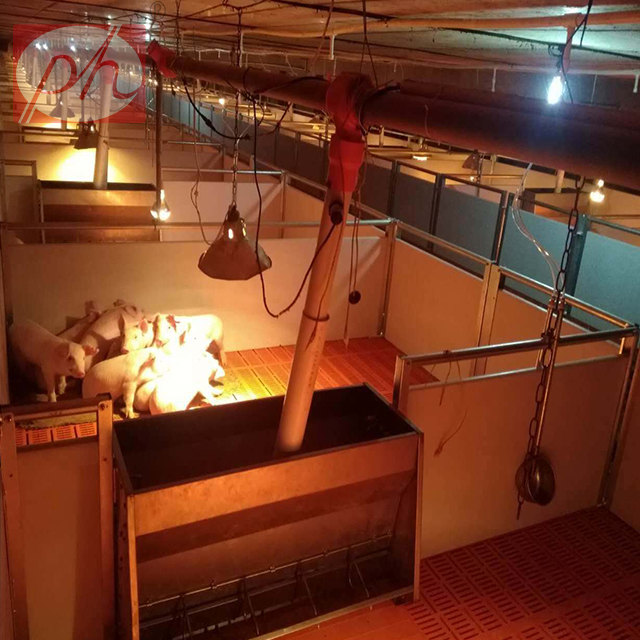 ������,С�������ᣬ�߶˱�����λ�����±�����