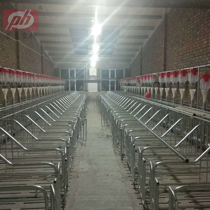 Բ�ܵ�����