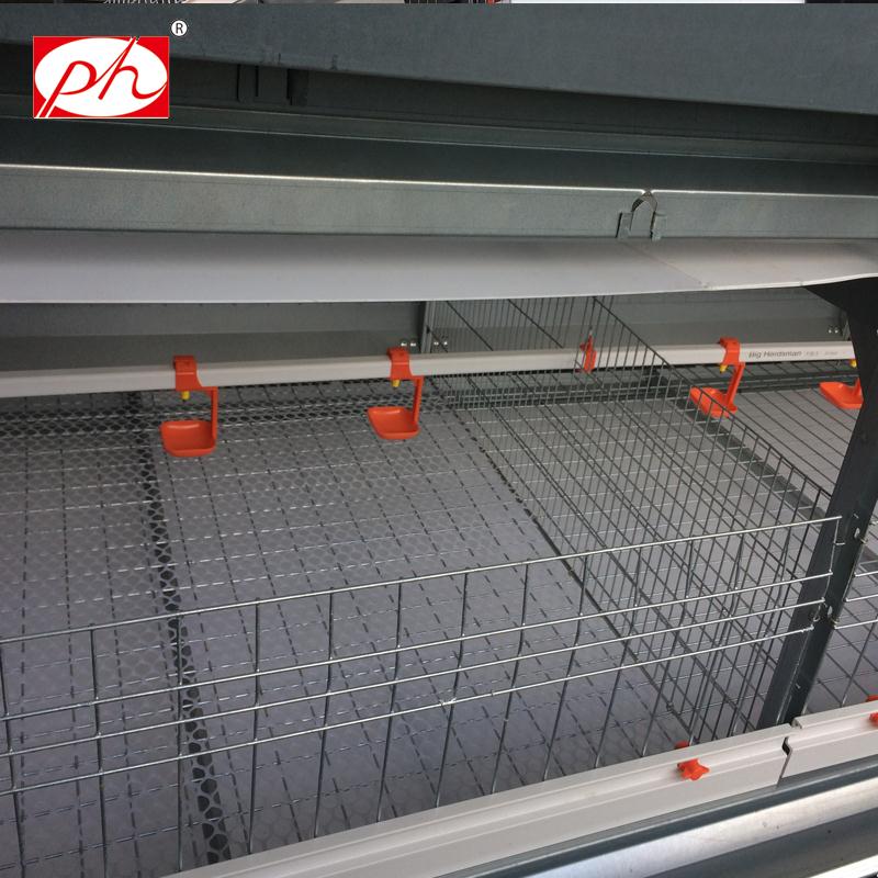 ��Ѽ����ˮ��