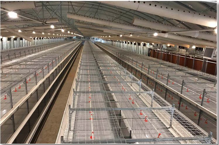 �����⼦  �⼦���� �ִ������� ������