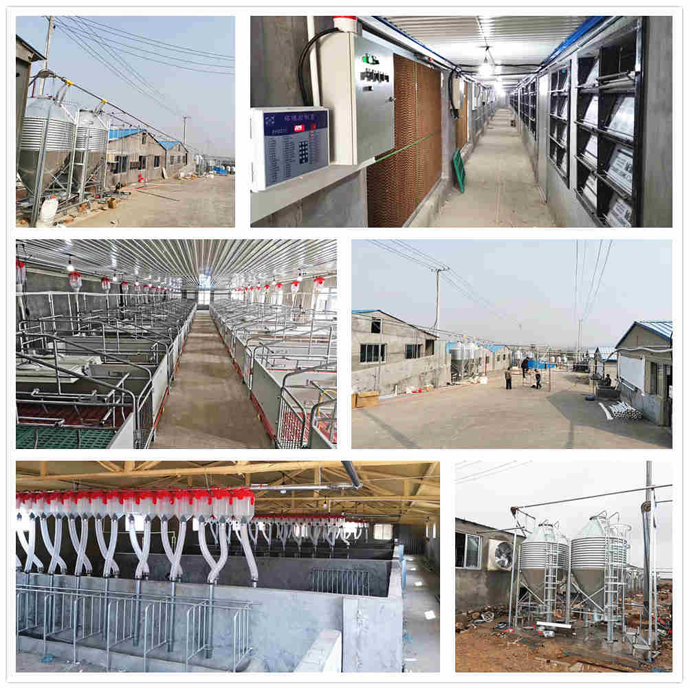 1800ͷĸ��Կ�׹�����β������