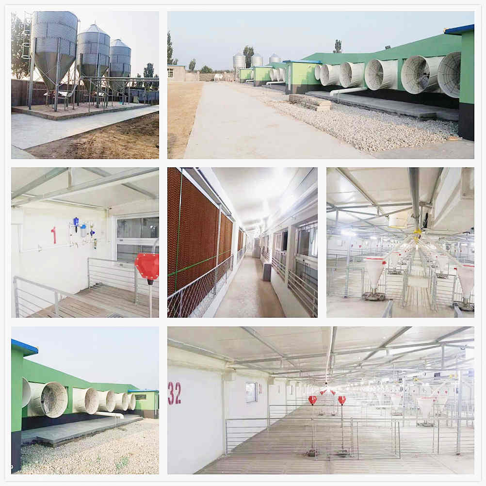 ɽ������������Ŀ