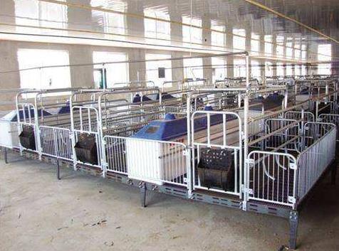 ��Щ���ػᵼ�����������岻������