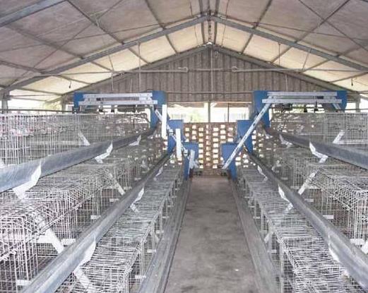 ����Ǹ�����ǧ��������˷ѵ�